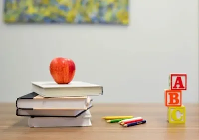 Explore Learning & Skill Development for Professionals | Explore lifelong learning and skill development insights to help professionals upskill, adapt, and grow in a changing world. - Populer.com